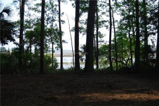 39 Spring Island Dr, Bluffton SC  29909-4005 exterior