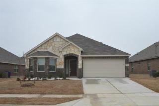 1916 Megan Creek Dr, Oak Point TX  75068 exterior