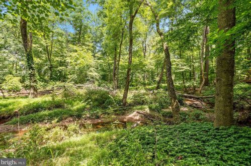 7620 Willow Pt Dr, Falls Church VA  22042-7530 exterior