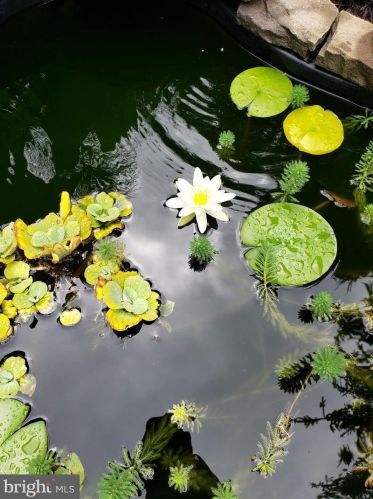 1139 Wilson Ave, Glen Mills PA  19342-9610 exterior