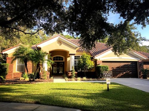 1855 Eau Claire Ct, Oldsmar, FL 34677-5215