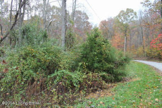 47 Christopher Ln, Leitchfield, KY 42726