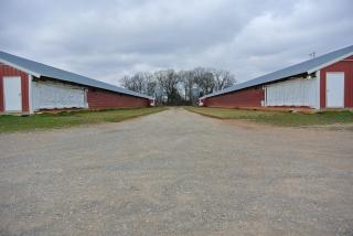 1851 Temperance Rd, Franklin, KY 42134-7295