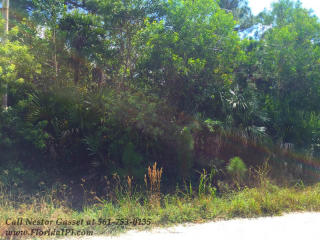 3520 Dellwood Rd, Town Of Loxahatchee Groves, FL 33470-2445