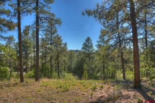 220 Edgemont Highlands Pass, Durango, CO 81301-9303