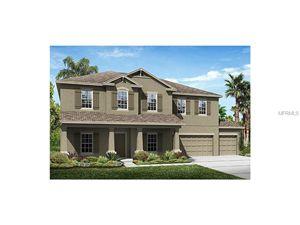 13827 Artesa Bell Dr, Riverview, FL 33579-2393