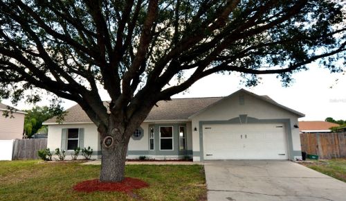 3216 Boxelder St, Deltona, FL 32725-3034