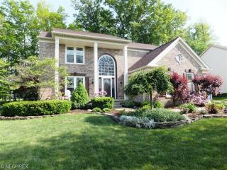 2806 Myrick Ln, Twinsburg, OH 44087-2913