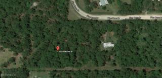 127 Pine Cone Dr, Georgetown, FL 32139-2315