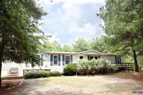 11420 An County Road 404, Palestine, TX 75803-0514