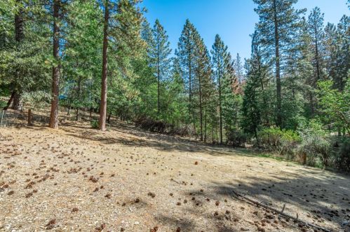 6466 Coe Ct, Michigan Bluff CA  95631-9663 exterior