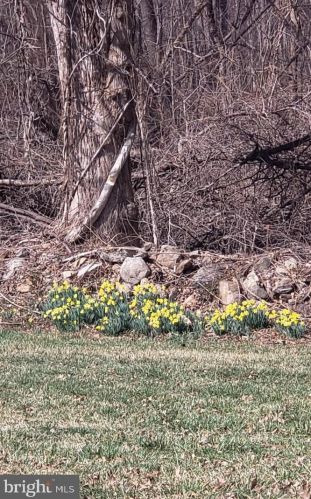 13413 Mountain Rd, Lovettsville VA  20180-2816 exterior