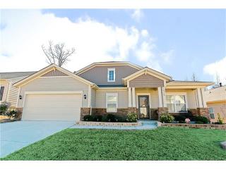 14719 Glenduff Pl, Charlotte, NC 28278-8176