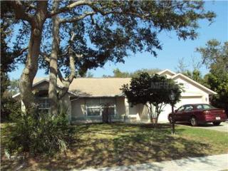 1440 Badger Ter, Deltona, FL 32725-4607