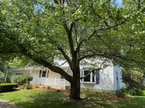 2109 Dunwoody Ct, Valpo, IN 46383-3967