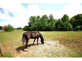 12701 Willow Oaks Ln, Wilsons, VA 23894-2538