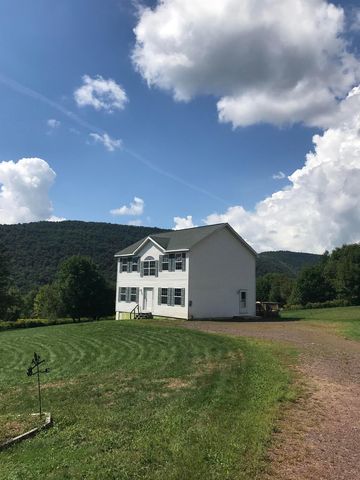 261 Lee Hollow Rd, West Delhi, NY 13753-7452