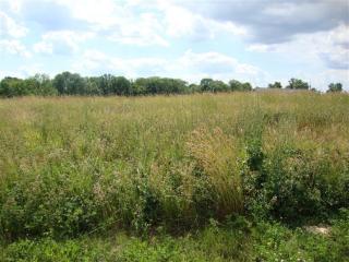165 Liza Ln, Flingsville, KY 41030-7522