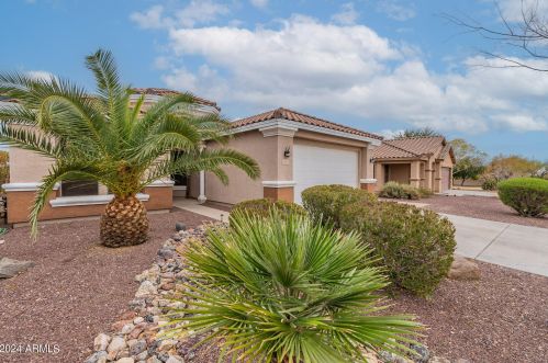 25827 165th Ln, Sun City, AZ 85387-6849