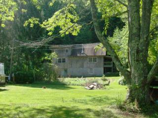 4178 River Rd, Downsville, NY 13755-3606