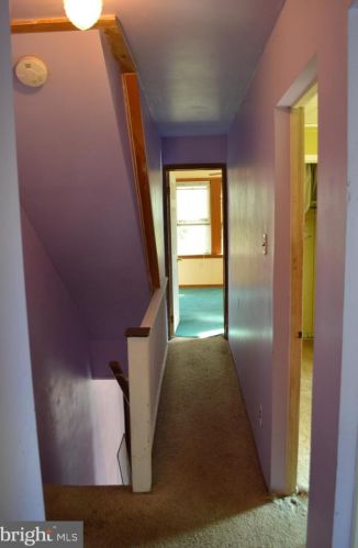 323 Beecher Ave, Cheltenham PA  19012-2001 exterior