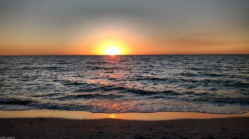 125 Wading Bird Cir, Naples FL  34110-9202 exterior