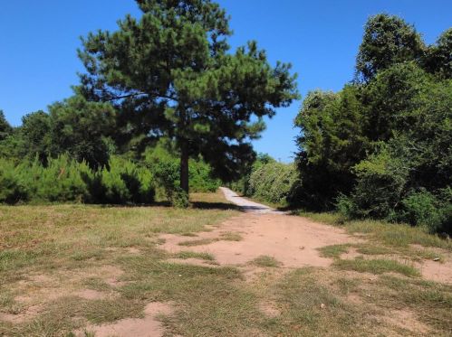 23077 Flukinger Rd, Waller, TX 77484-6221