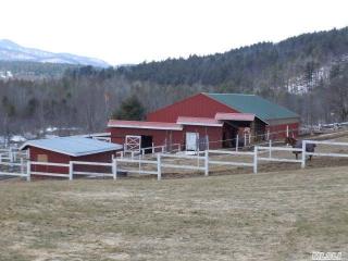 1031 Route 9n, Keeseville, NY 12944-4238