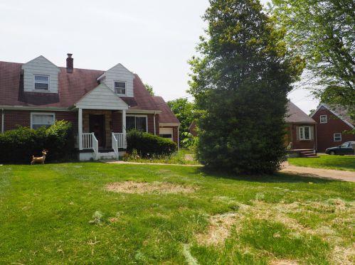 128 Roger Ln, Florence, KY 41042-2650