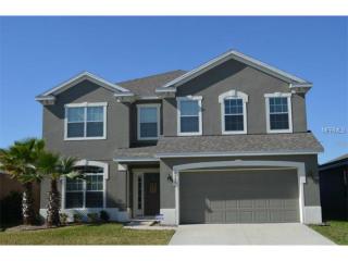 14434 Alistar Manor Dr, Wimauma, FL 33598