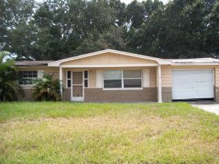 4608 Aegean Ave, Tarpon Springs, FL 34690-3809