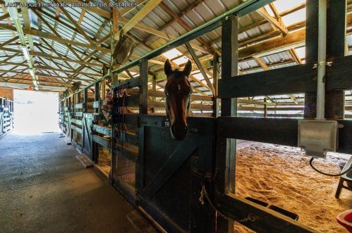 22528 Southshore Dr, Land O Lakes FL  34639-4726 exterior