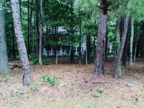 12181 Melton Rd, Ashland, VA 23005-3000