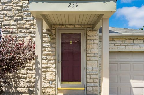 239 Macenroe Dr, Blacklick, OH 43004-9343