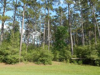 14927 Timbershade Xing, Magnolia, TX 77355-8017
