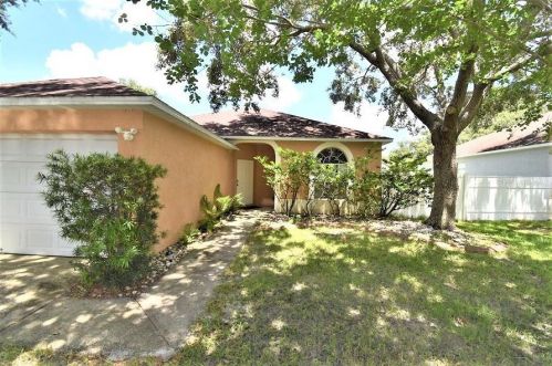 11540 Wellman Dr, Riverview, FL 33578-3765