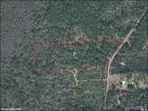 770 Old Bubbly Rd, Pierson, FL 32180-0042