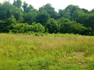 5006 Hayden Ct, Baxter, TN 38544-1500