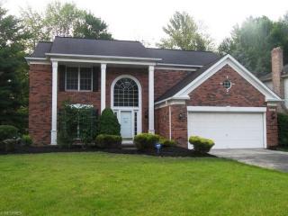 10365 Merriam Ln, Twinsburg, OH 44087-2640