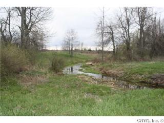 10886 Middle Rd, Dexter, NY 13634-2058