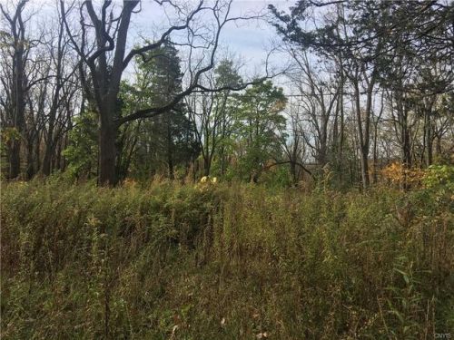 14059 Acre Rd, Sterling, NY 13156-3168
