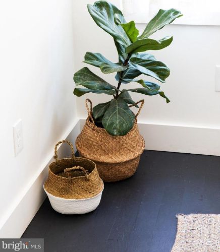 2026 Howard St, Philadelphia PA 19148-3334 exterior