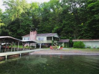 9305 Kingtown Beach Rd, Trumansburg, NY 14886-9235