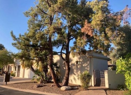 2752 Casas Dr, Tucson, AZ 85742-9777