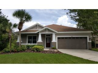 6102 Gannetwood Pl, Lithia, FL 33547-3902