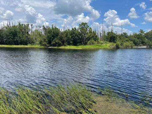 15831 Aurora Lake Cir, Wimauma FL  33598-4031 exterior