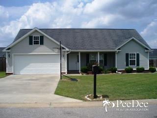 2908 Cross Vine Dr, Effingham, SC 29541-4931