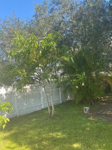 2712 Emerson Ln, Kissimmee, FL 34743-6005