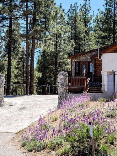 277 Greenspot Blvd, Big Bear City, CA 92314-9233