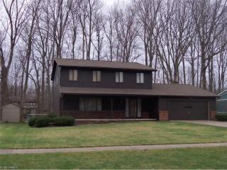 9246 Hidden Valley Ct, Concord Township, OH 44060-7323
